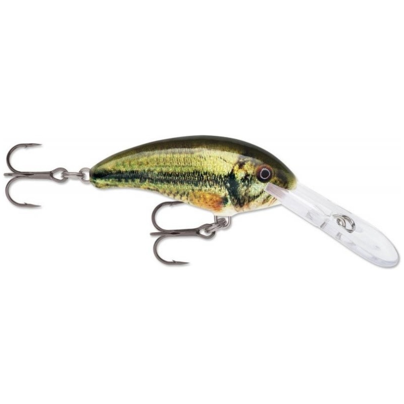 8963-8963-5eaad246c90ae6-57536622-rapala-shad-dancer-lbl-1473334509-57d14cedede71-large